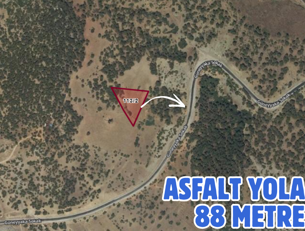 DENİZLİ ÇARDAK SÖĞÜT 2.743 M² TARLAMIZ SATILIKTIR - DENİZLİ ÇARDAK fotoğraf 3